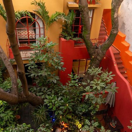 Bed and Breakfast The Red Tree House Città del Messico Esterno foto