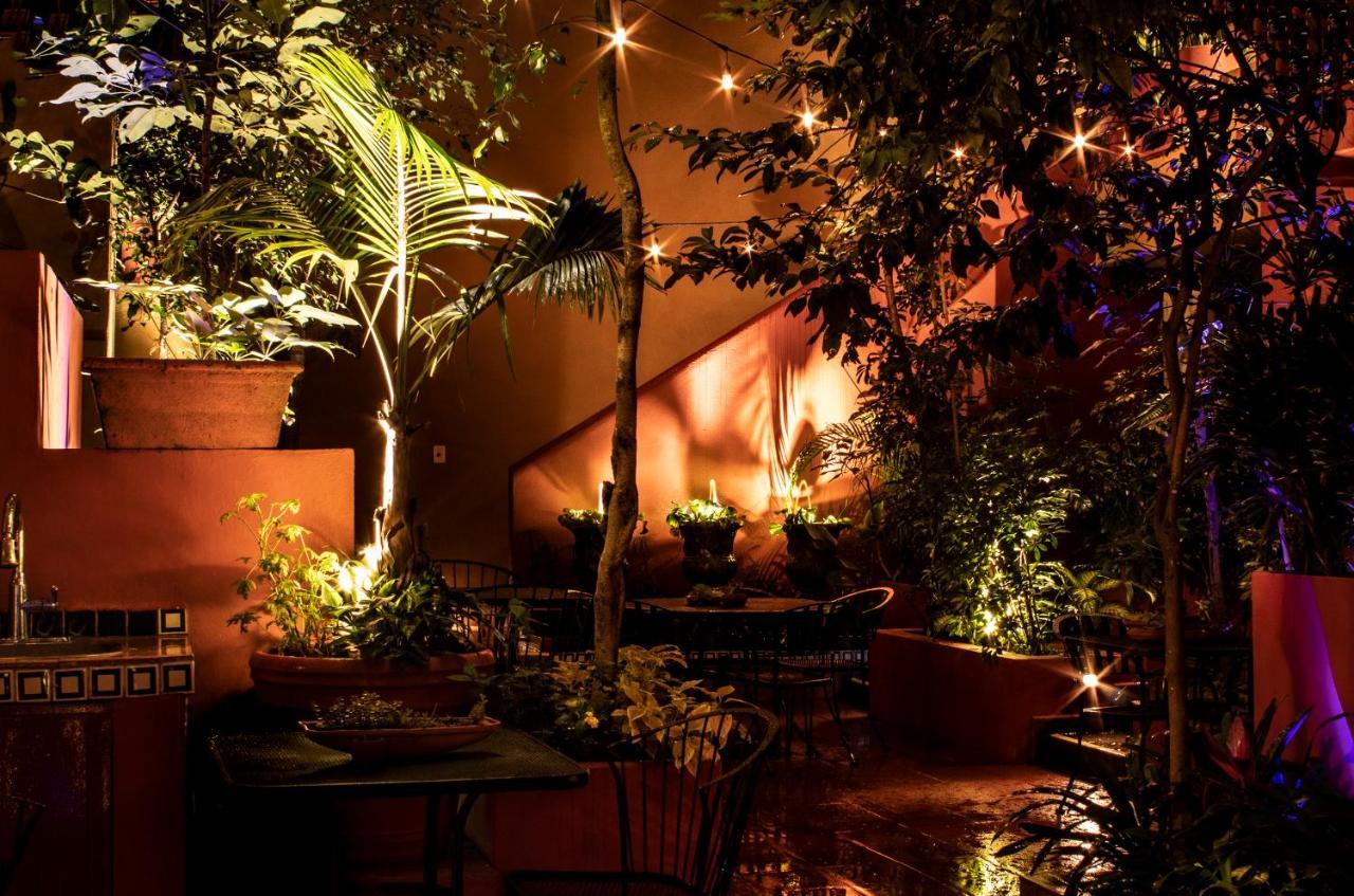 Bed and Breakfast The Red Tree House Città del Messico Esterno foto