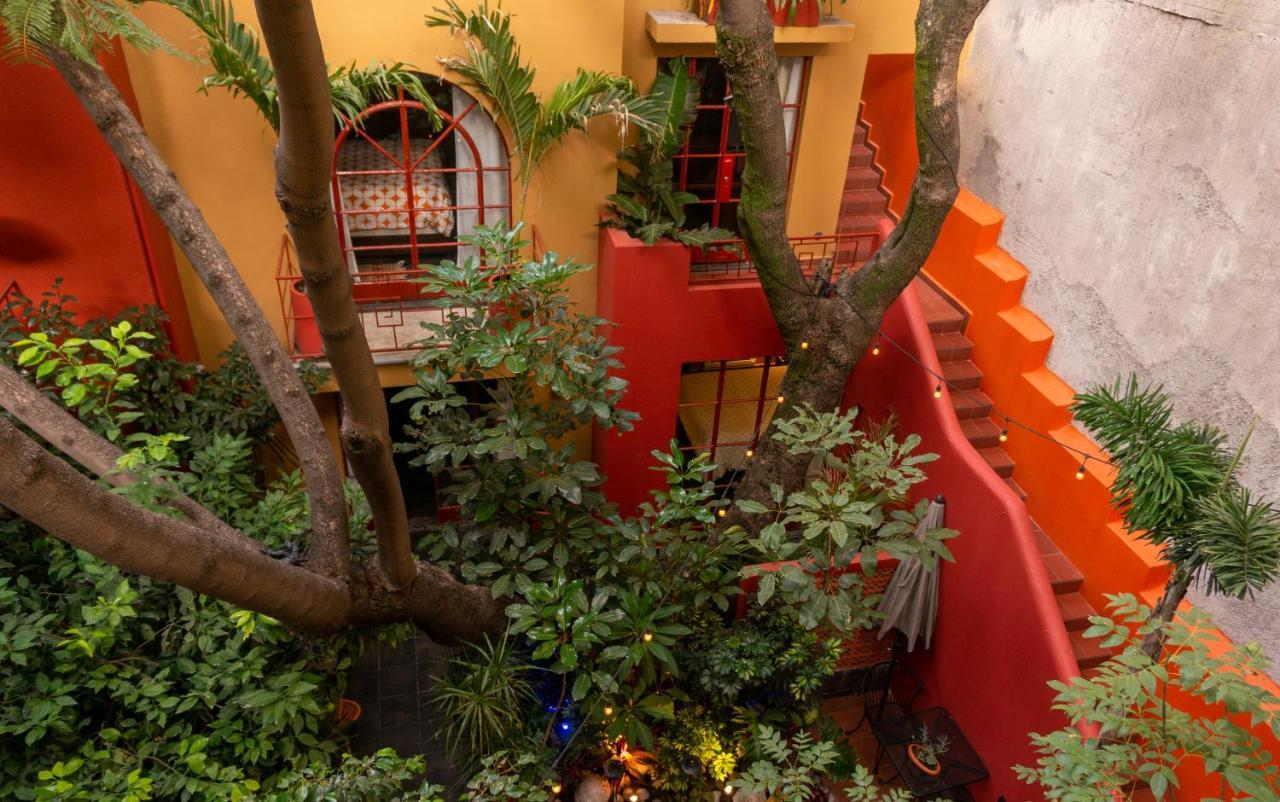 Bed and Breakfast The Red Tree House Città del Messico Esterno foto