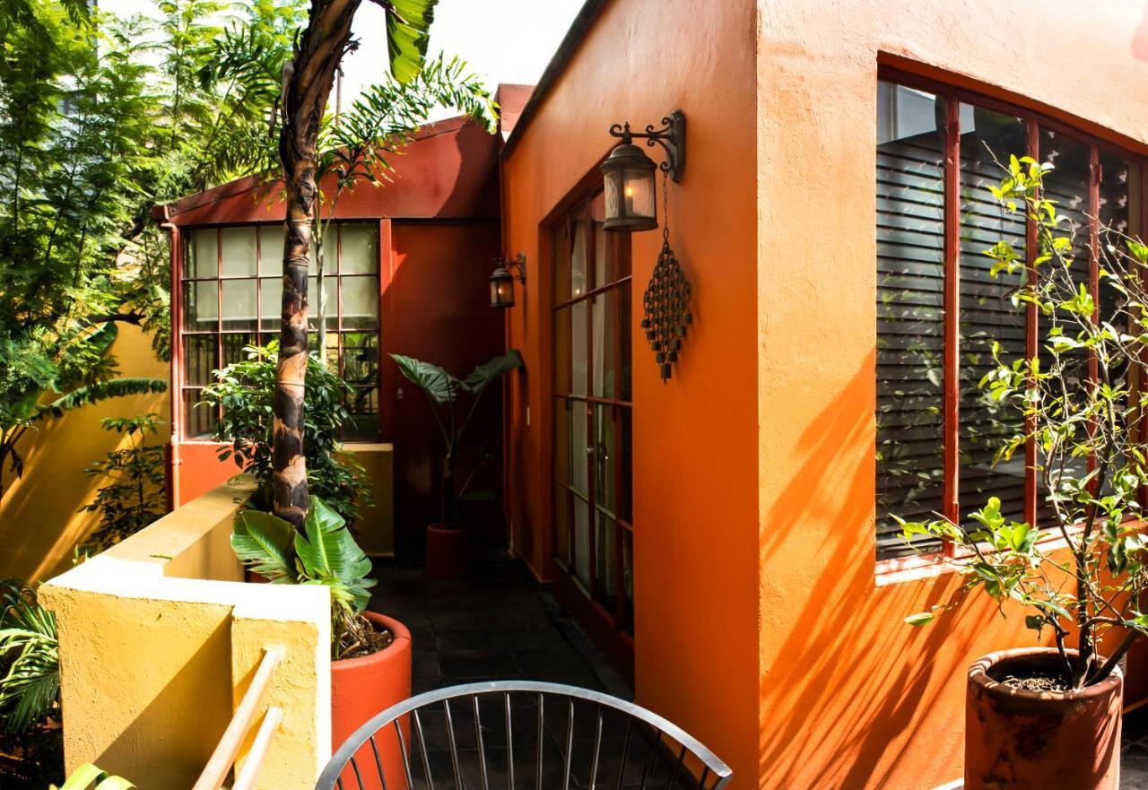 Bed and Breakfast The Red Tree House Città del Messico Esterno foto