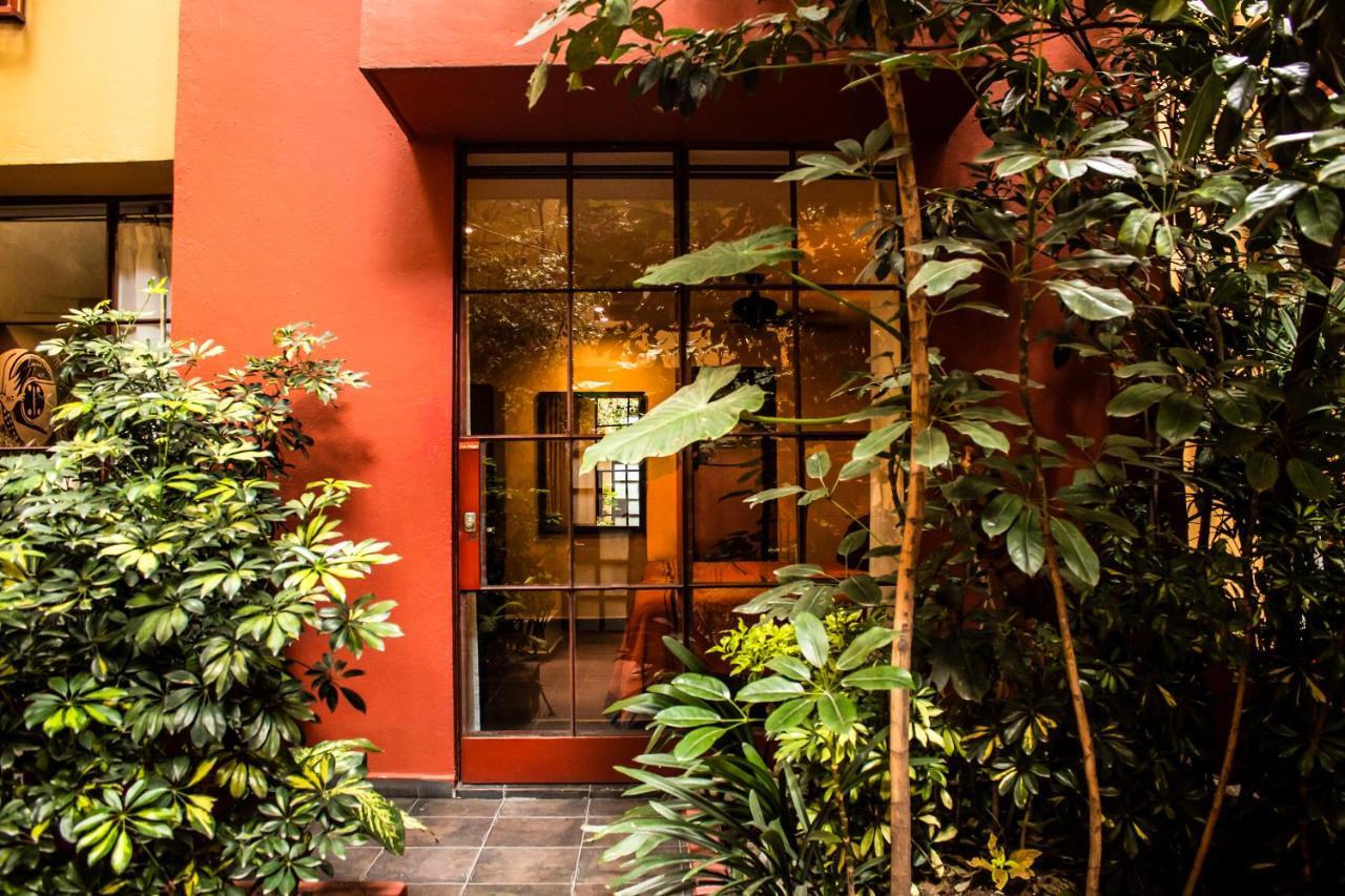 Bed and Breakfast The Red Tree House Città del Messico Esterno foto