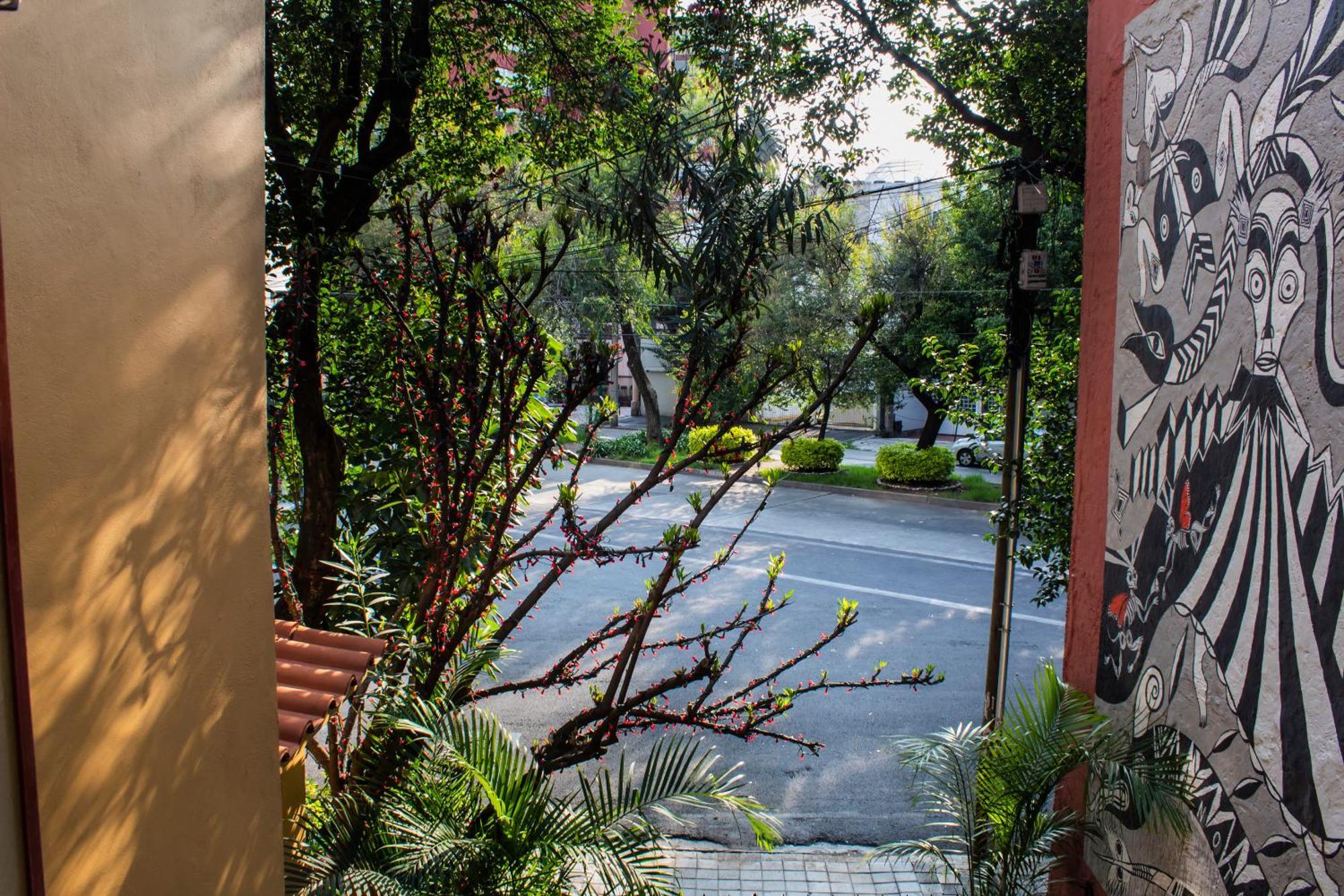 Bed and Breakfast The Red Tree House Città del Messico Camera foto